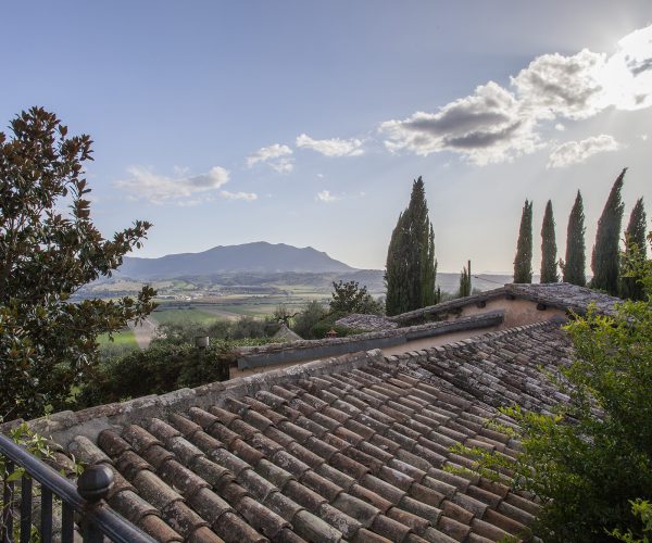 La Torre degli Ulivi