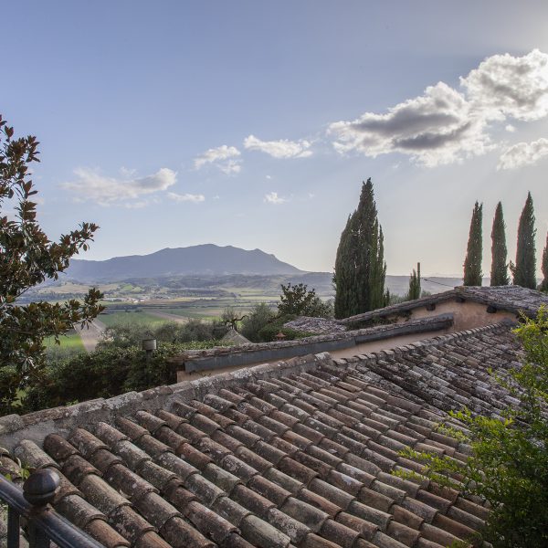 La Torre degli Ulivi