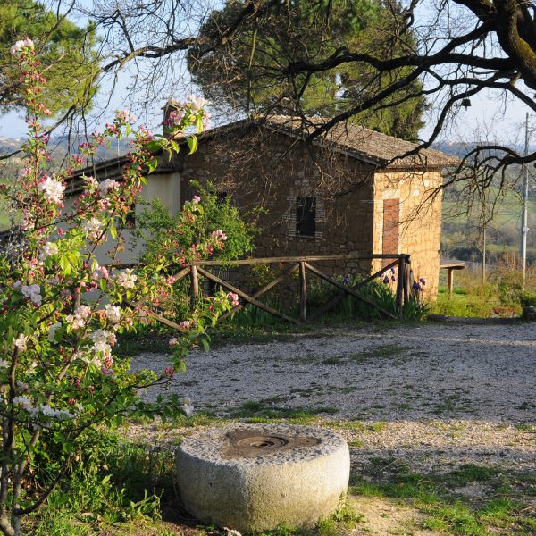 Agriturismo Le Cerque