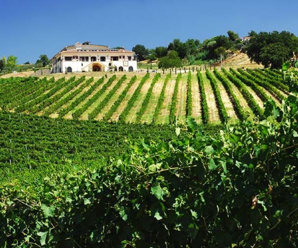 Tenuta Santa Lucia