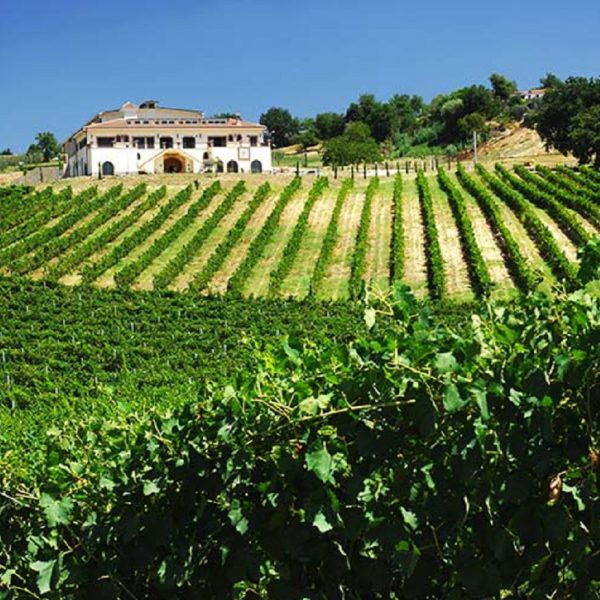 Tenuta Santa Lucia