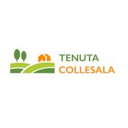 Tenuta Colle Sala
