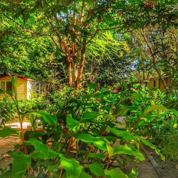 International Glamping Lago di Bracciano