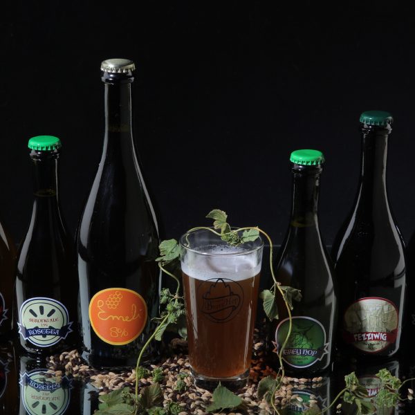 BraveHop