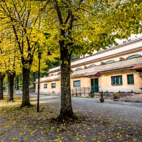 Oasi di Greccio