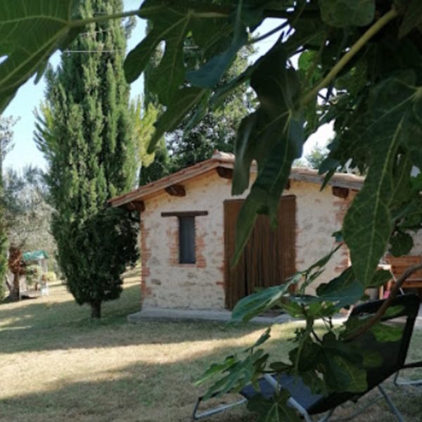 Il Viandante