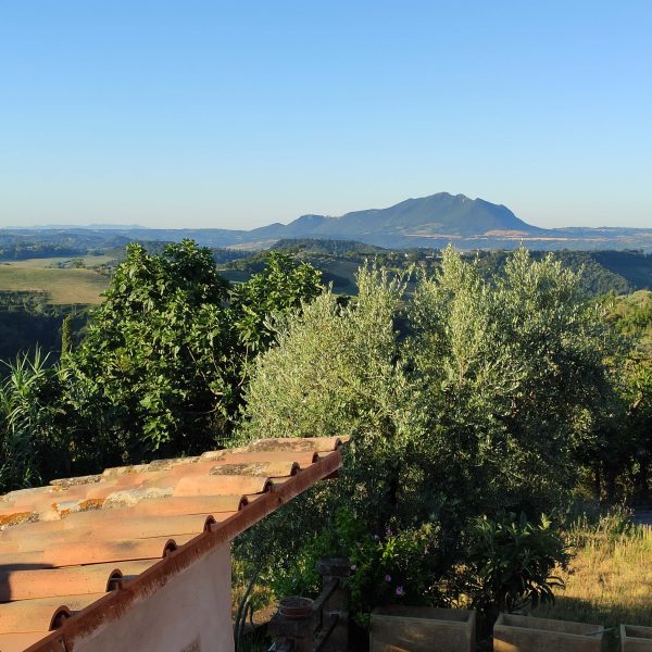 Corte Buenavista Guest House