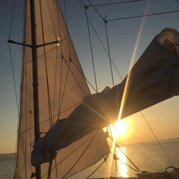 DILONG 3.0 CHARTER