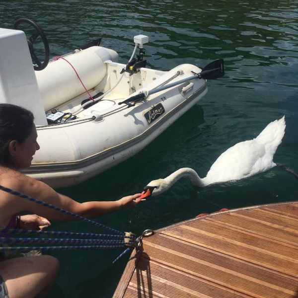 DILONG 3.0 CHARTER