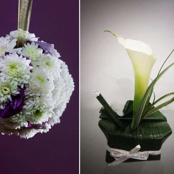 Iris Flowershop