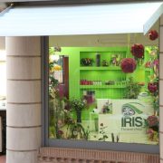 Iris Flowershop