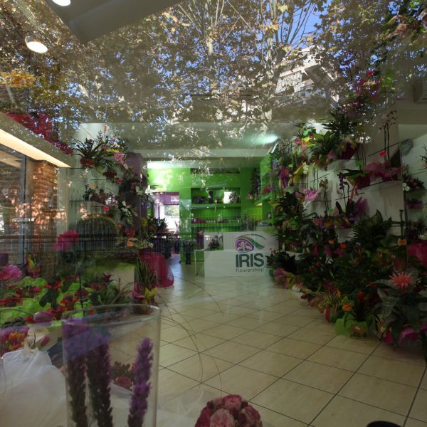 Iris Flowershop
