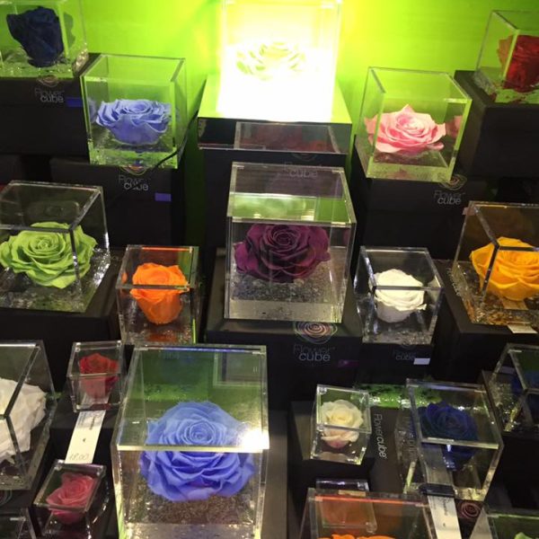 Iris Flowershop