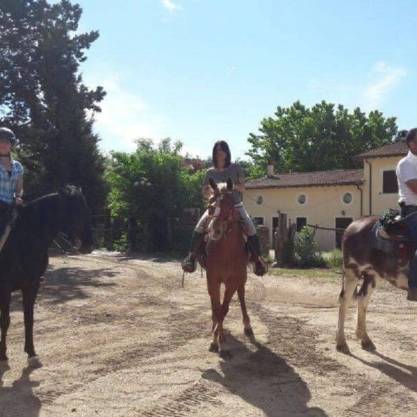 Scuderie Equilibrium horse promotion