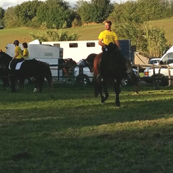 Scuderie Equilibrium horse promotion