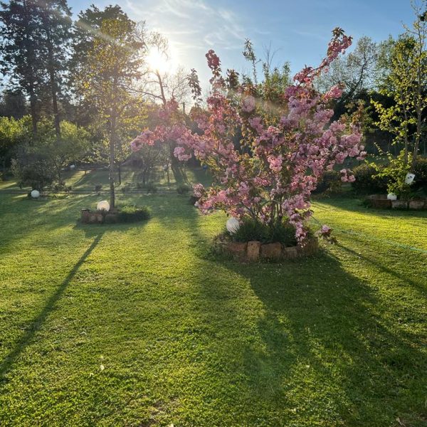La Casa dei Fiori