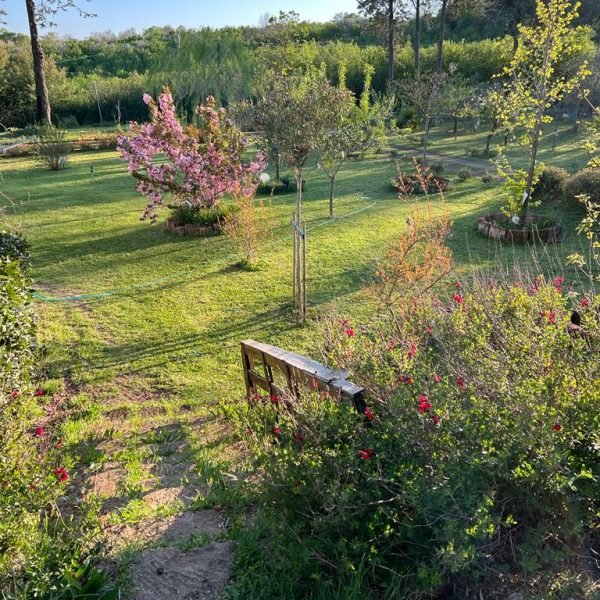 La Casa dei Fiori