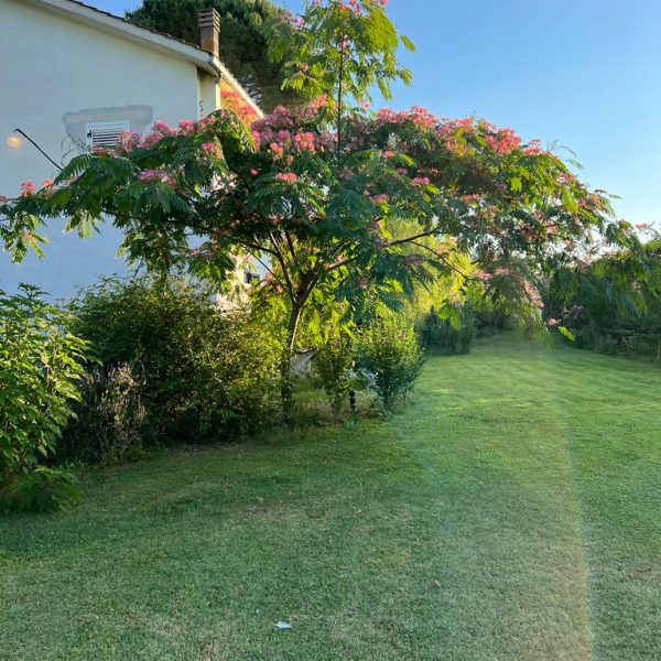 La Casa dei Fiori