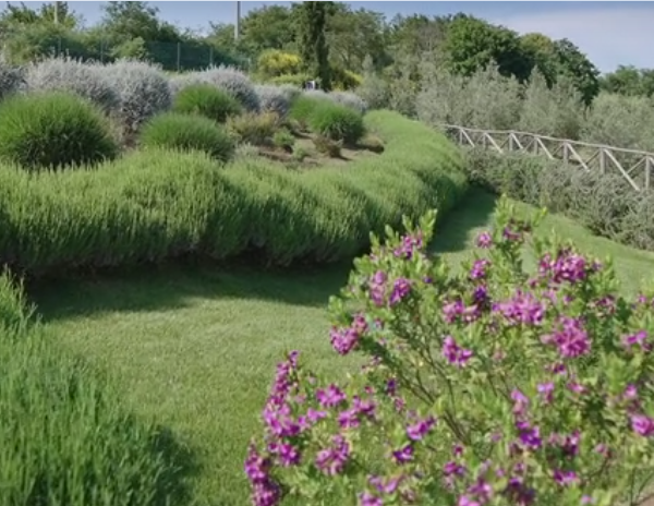 Il Podere di Marfisa